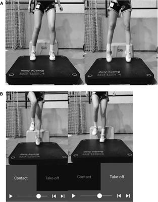 Validity and reliability of the My Jump 2 app for detecting interlimb asymmetry in young female basketball players